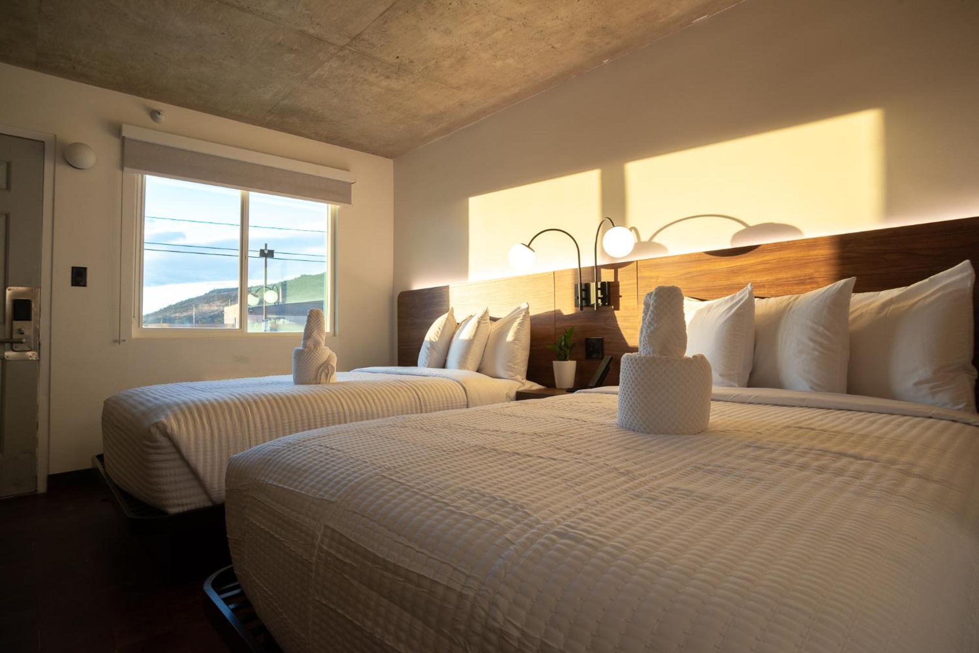 The Alice Hotel Tucson Extérieur photo